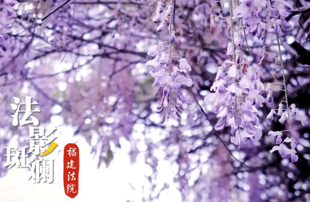 和风煦日游丝飞絮法影斑斓