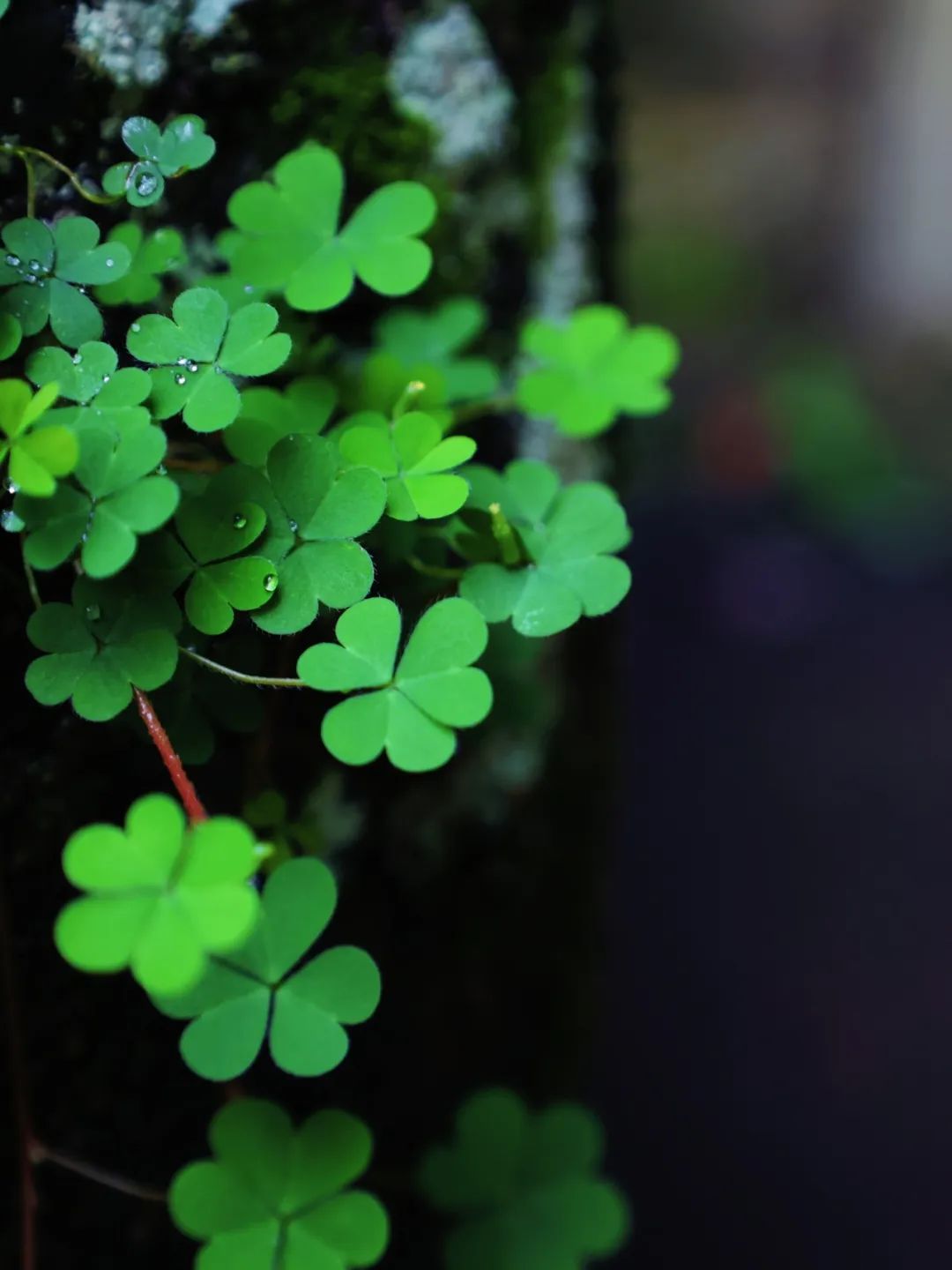 和风煦日 游丝飞絮 | 法影斑斓_澎湃号·政务_澎湃新闻-the paper