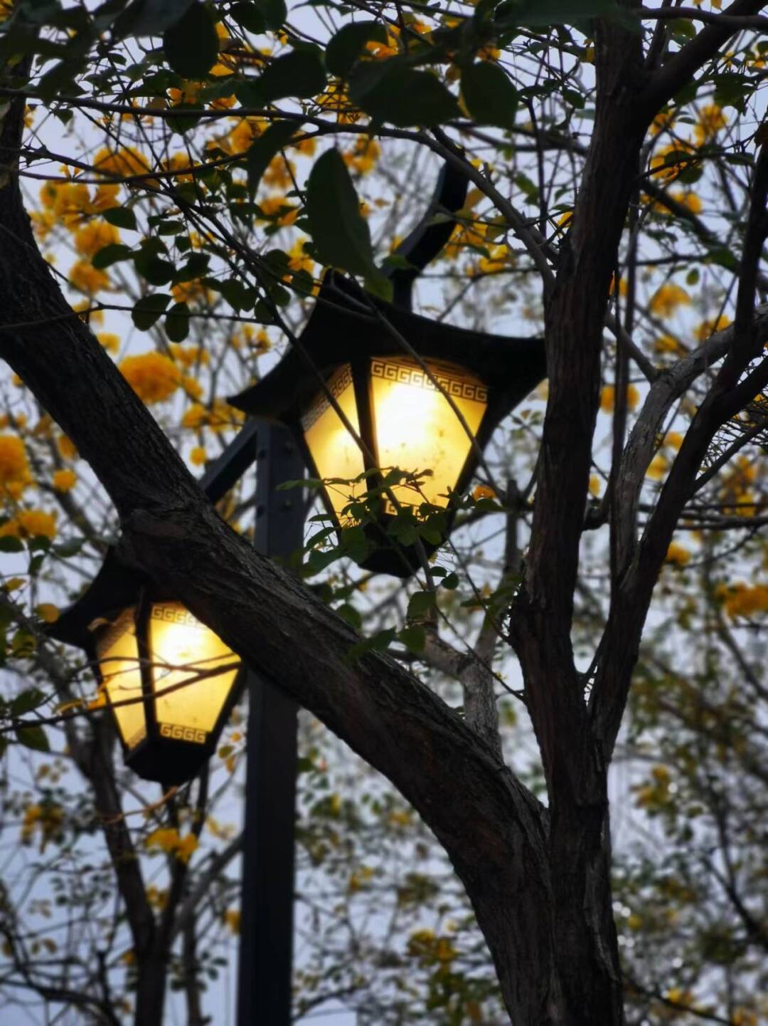 和风煦日游丝飞絮法影斑斓