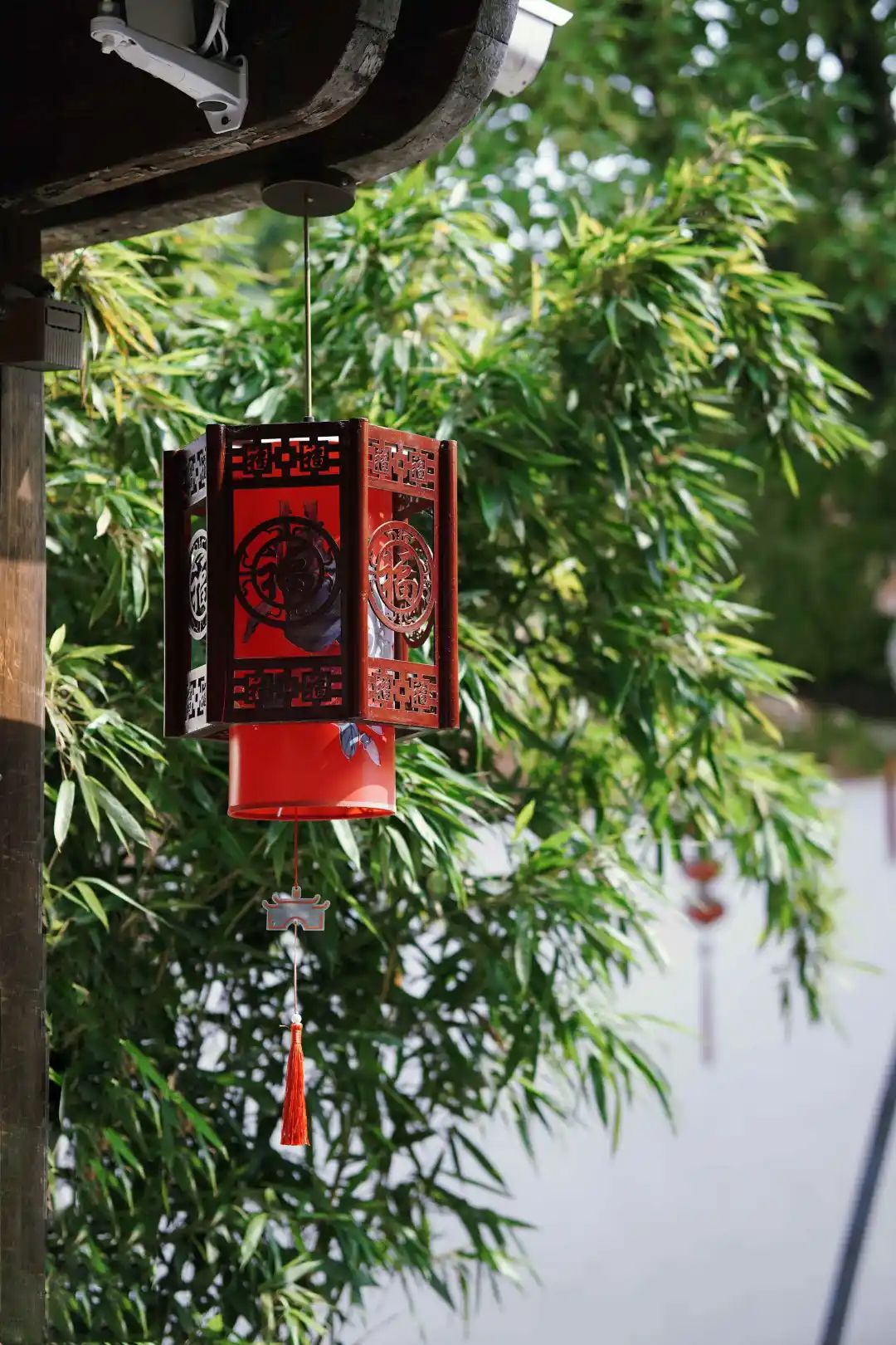 和风煦日游丝飞絮法影斑斓