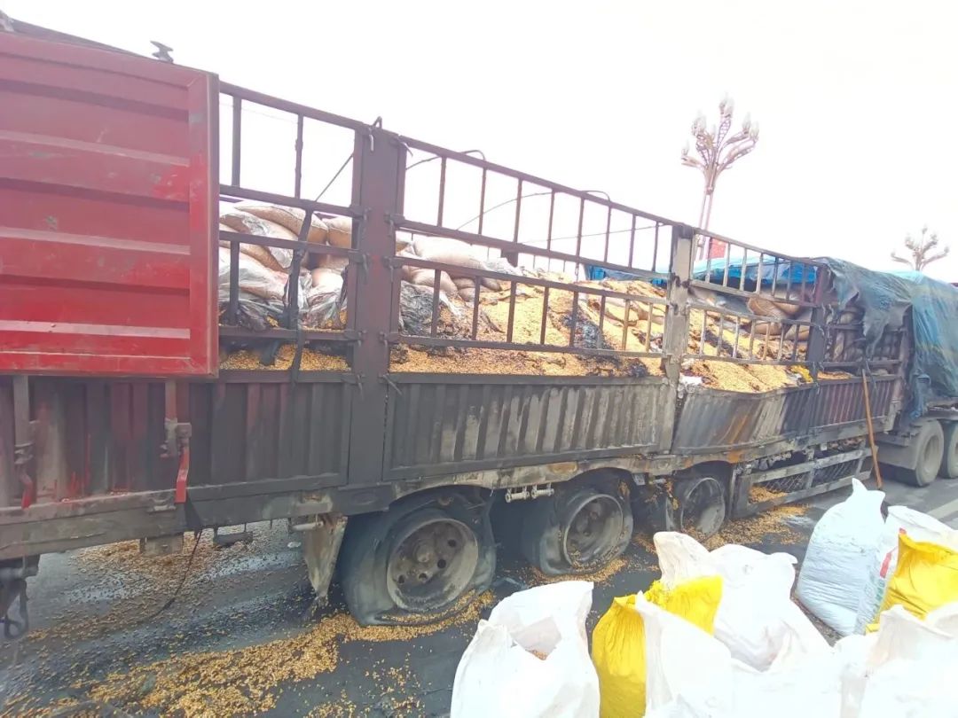 原因何在?_澎湃号·政务_澎湃