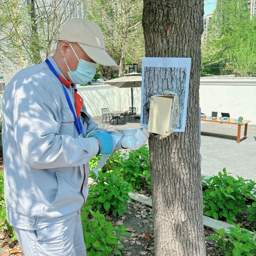 "技能比武"为白蚁出飞高发期提前"练兵"_澎湃号·政务_澎湃新闻-the