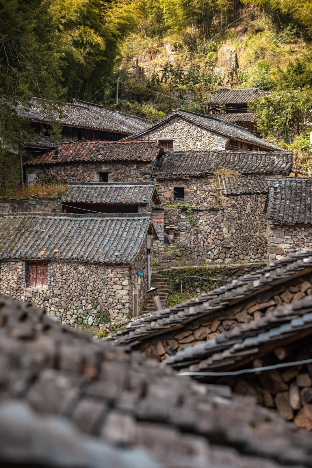 摄影/习小远的视界新建镇的河阳村,则让人自觉恍然误入徽州水乡,满目