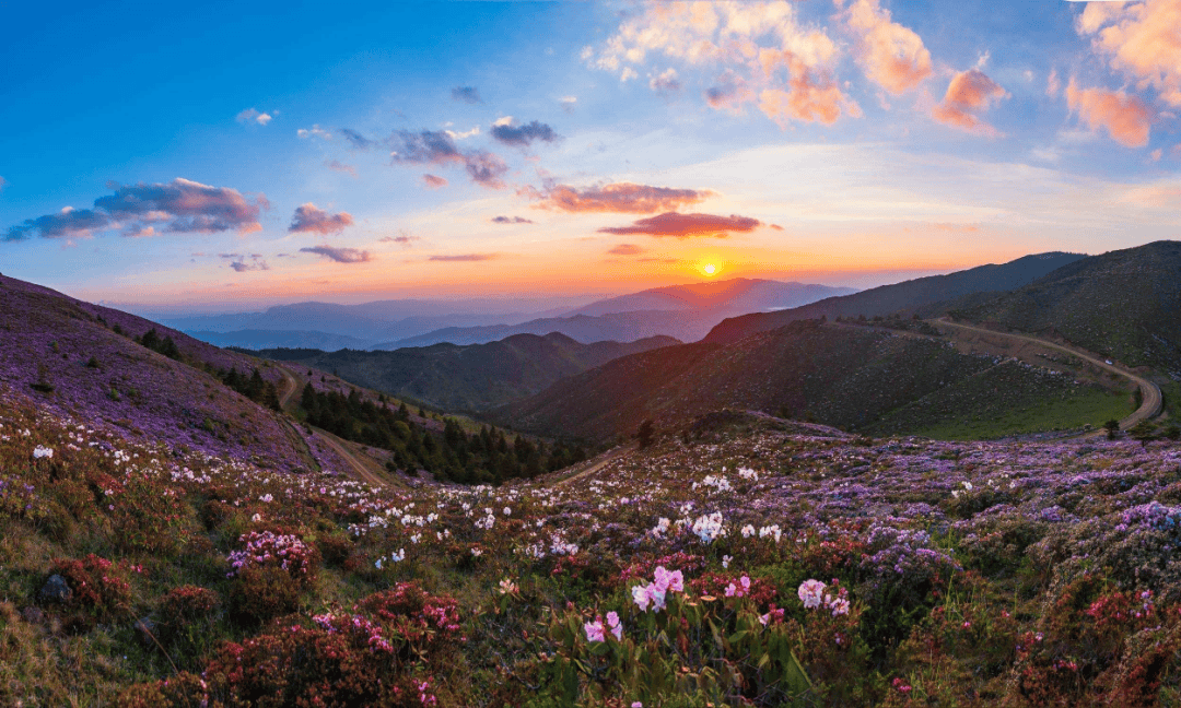 索玛花海百草坡波洛云海天坑群龙窝燕子洞狮子山金阳正处于发展大跨越