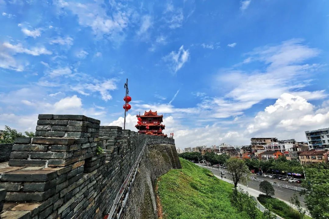 收藏肇庆这些好去处带娃一起撒欢