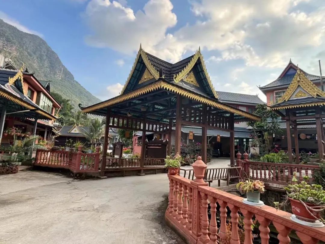 村民的腰包更鼓了，日子变得更好了！松江倾情帮扶勐腊文旅产业发展