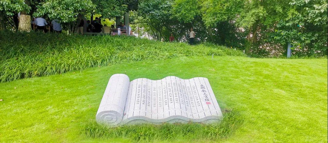 春游丽水:在丽水公园的20分钟