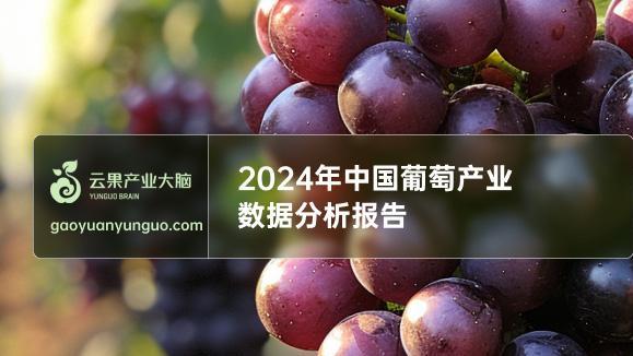 2024年中国葡萄产业数据分析简报
