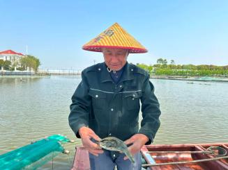 "菜花甲鱼"结束冬眠,价格略高!