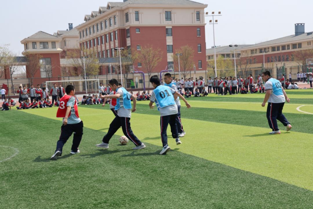 莱西教育一周掠影240401