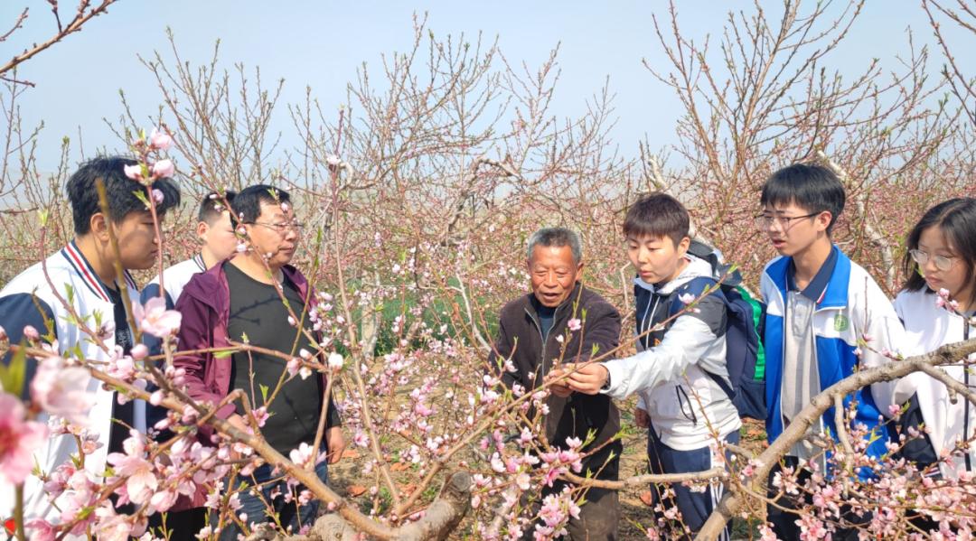 莱西教育一周掠影240401