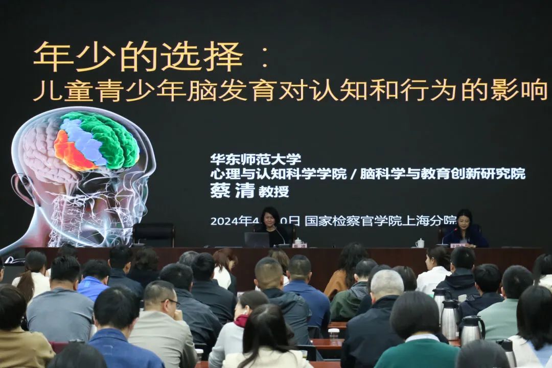 华东师范大学脑科学与教育创新研究院副院长,心理与认知学院教授