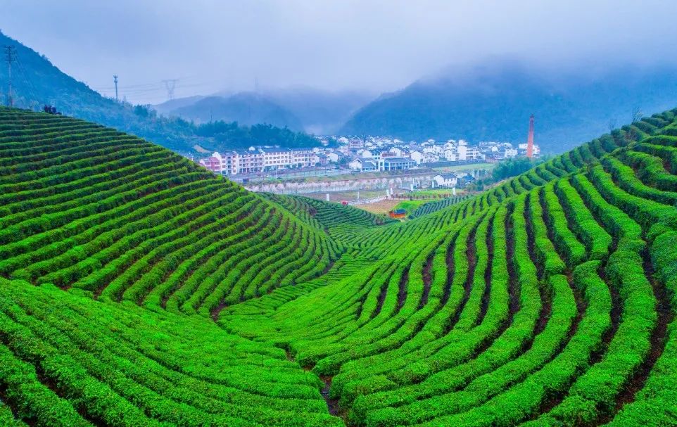 【市县热线】浦江:聚贤智贤力 赋能新质生产力发展_澎湃号·政务_澎湃