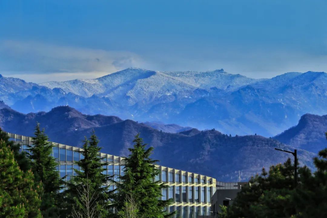 西工大的春,美得令人陶醉!(福利送送送)