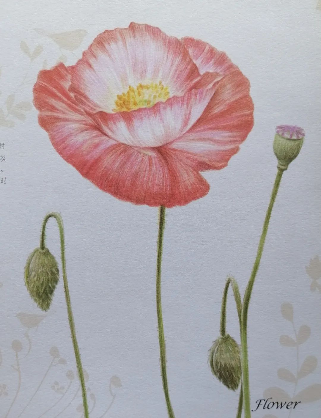 授课老师徐岷以"色彩的魅力"为主题,引领学员们走进彩色铅笔画的艺术