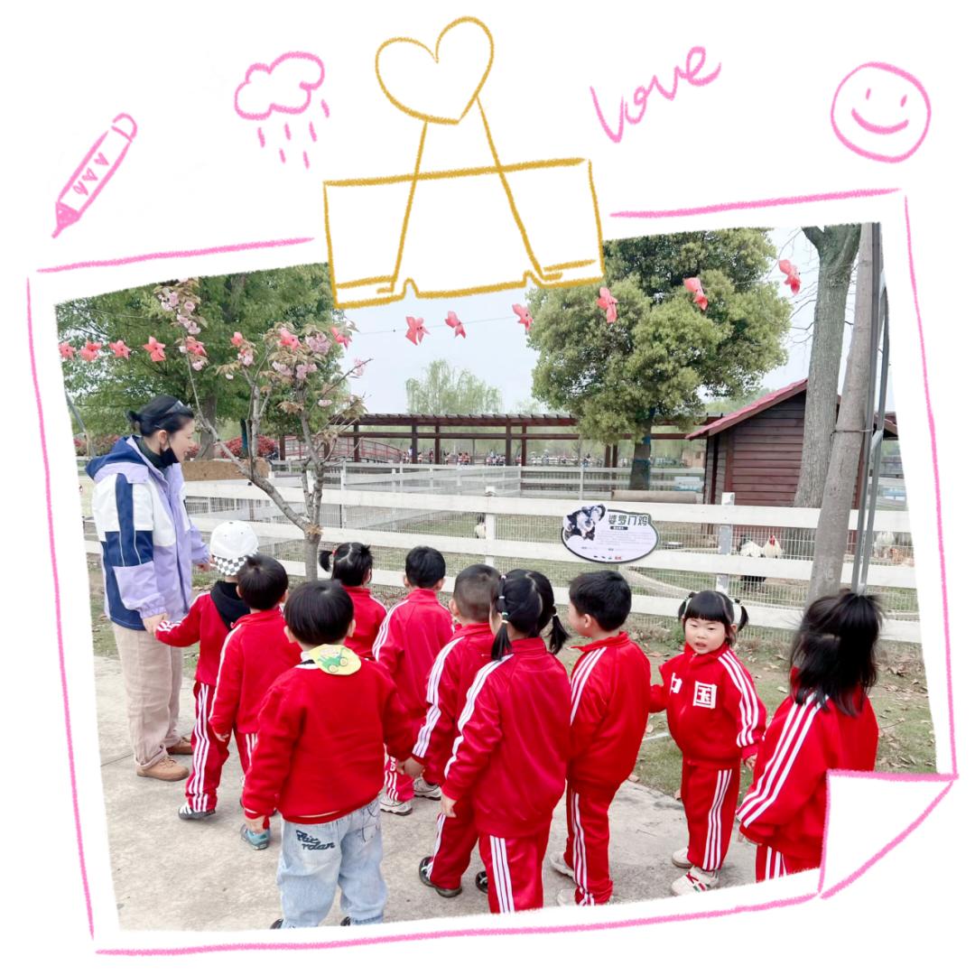 瑞景光谷幼儿园图片