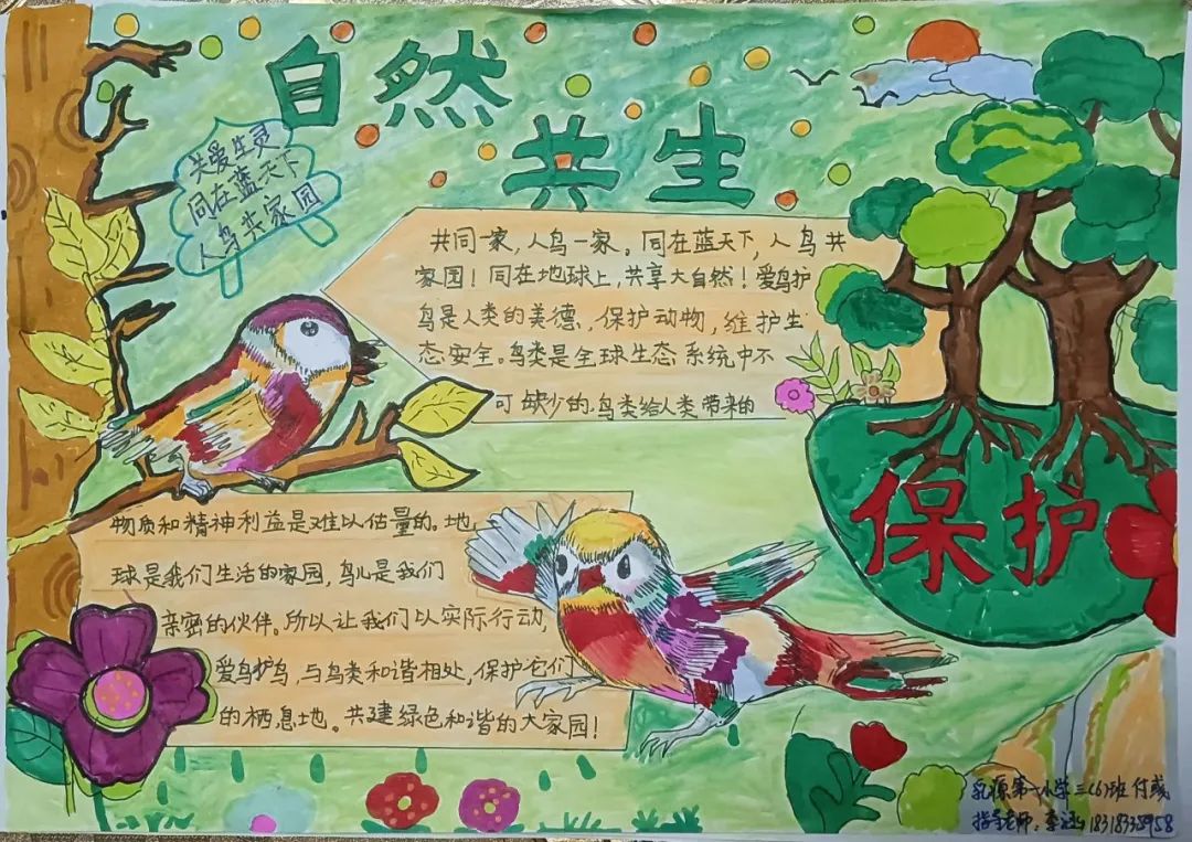 文创大赛获奖作品小学生手抄报大赛和南岭自然活动还展示野生动植物
