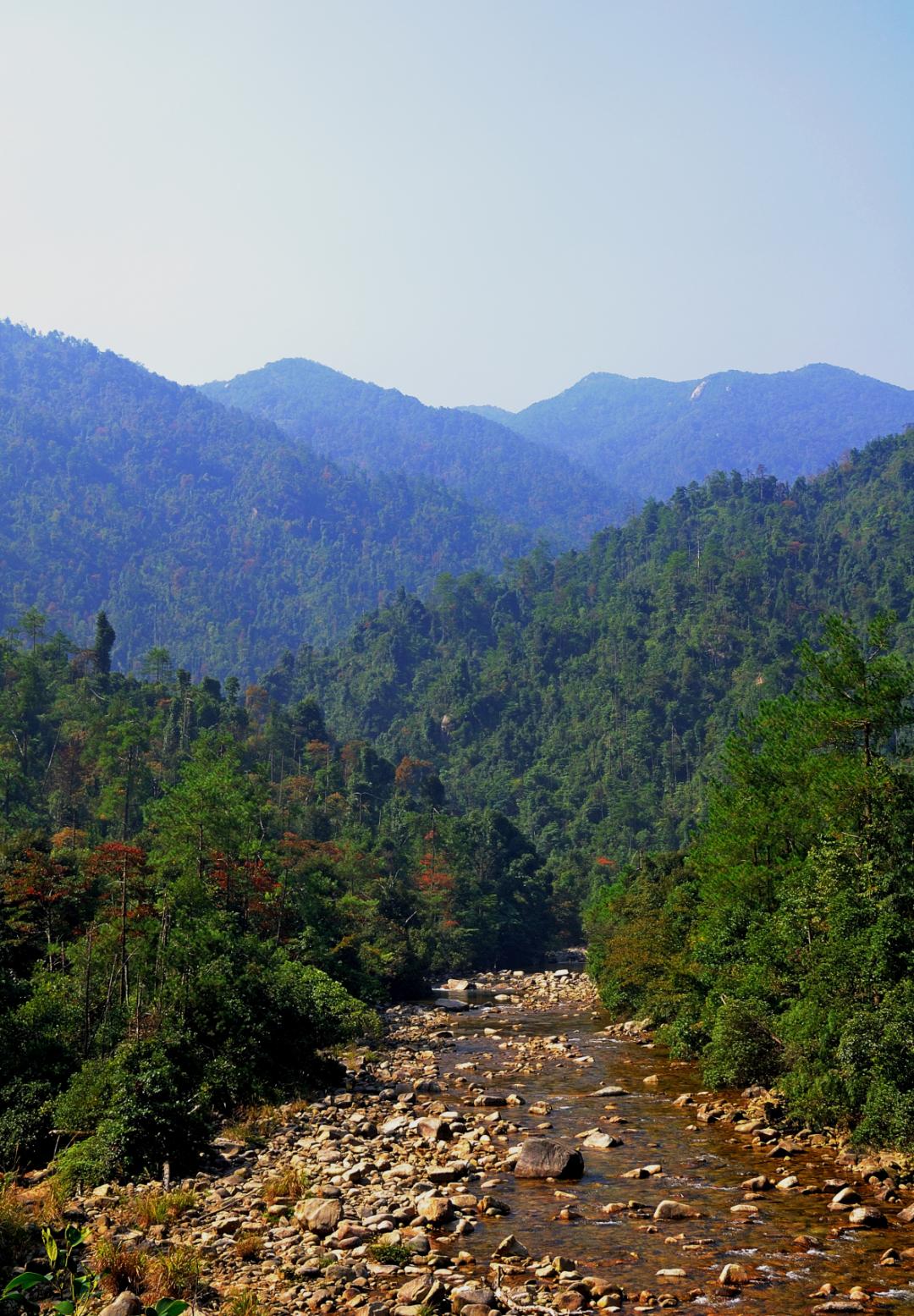 03低山丘陵沟谷常绿阔叶林带04河谷农耕区/灌丛广东乳源南水湖国家