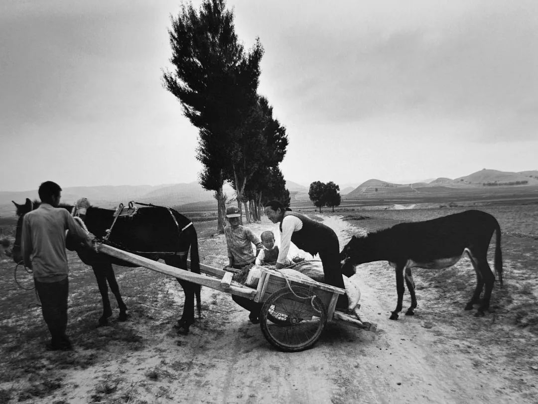 2004 定边杜涧 地里的骡子车2000 定边王圈里人2005 定边樊学 冬天里
