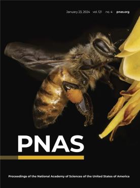 PNAS顶刊速递｜从墓志看唐朝的科举制、士族与社会流动