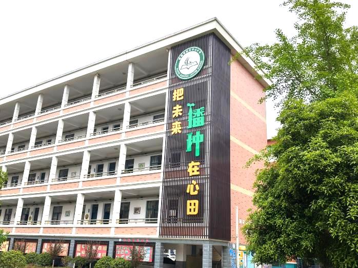 获省级认定建德这所学校再添新名片