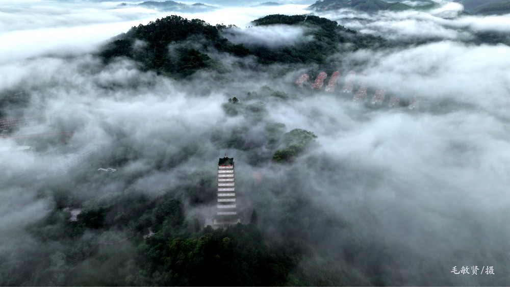 根系增城留芳韵,何仙姑人文传说持续"热辣滚烫"_澎湃