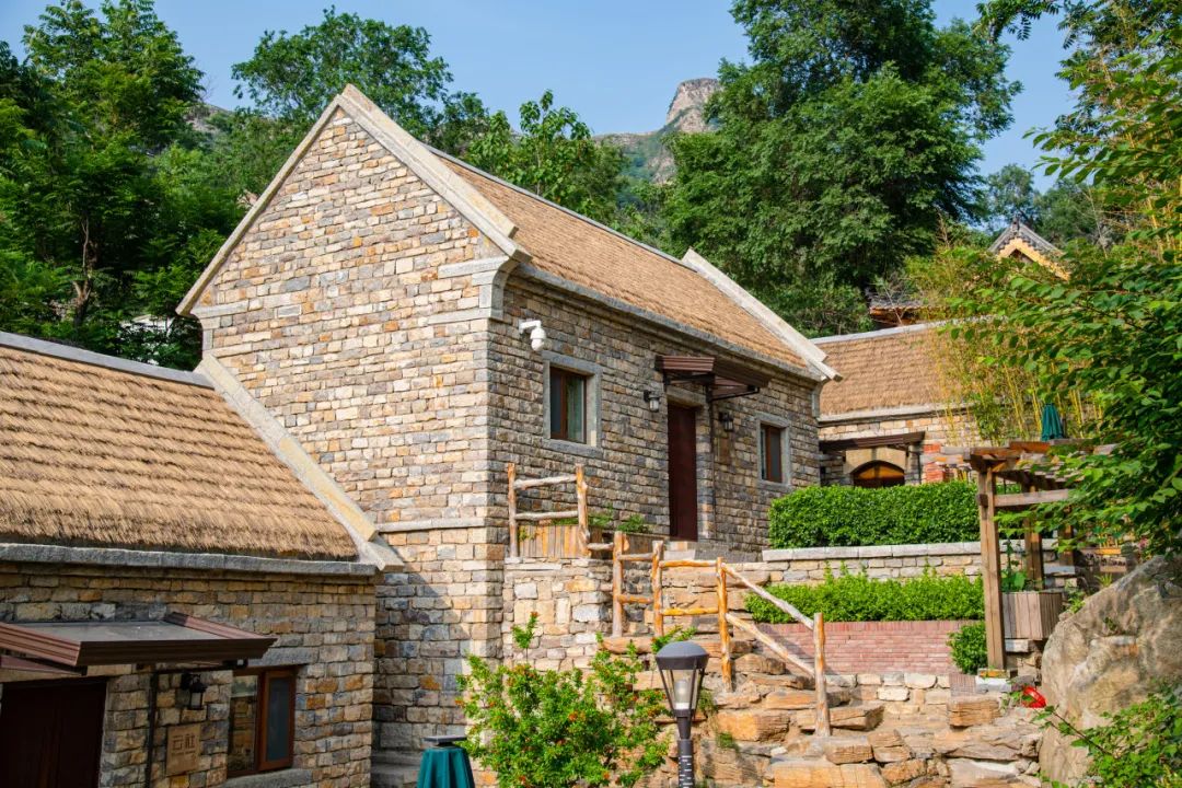 院落平台的优化提升,打造出舒适的空间感,又以花草绿植进行美化点缀