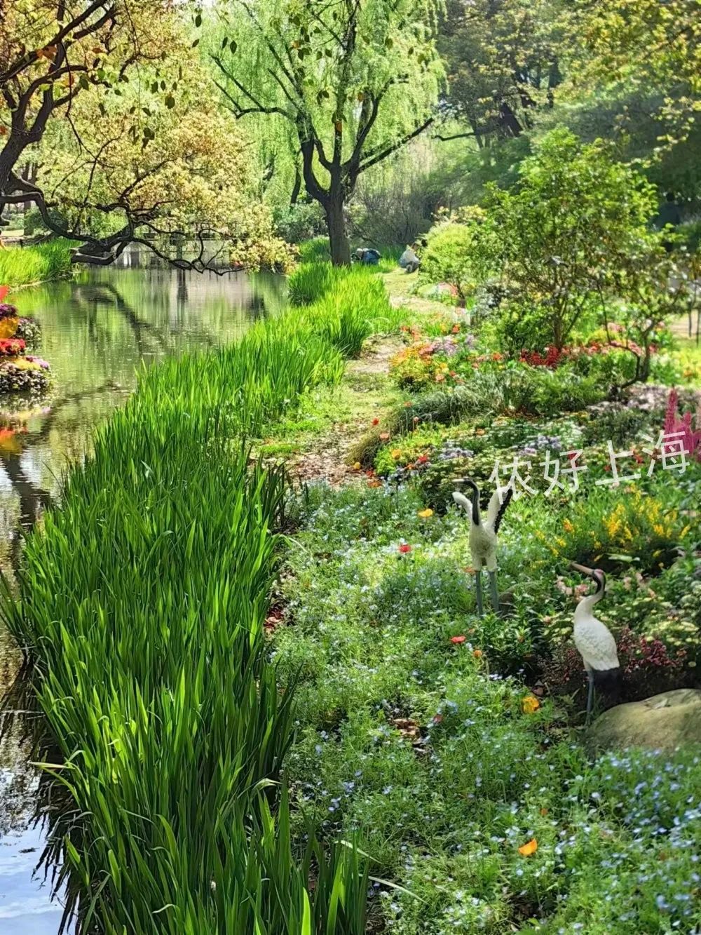 莫奈花园,8米鲜花瀑布!打卡攻略&避雷提示来了!