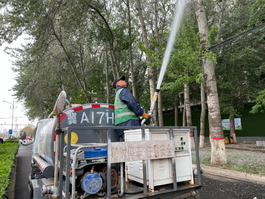 同时,市园林绿化建设养护服务中心还调配了高压喷雾车及人员,对杨树