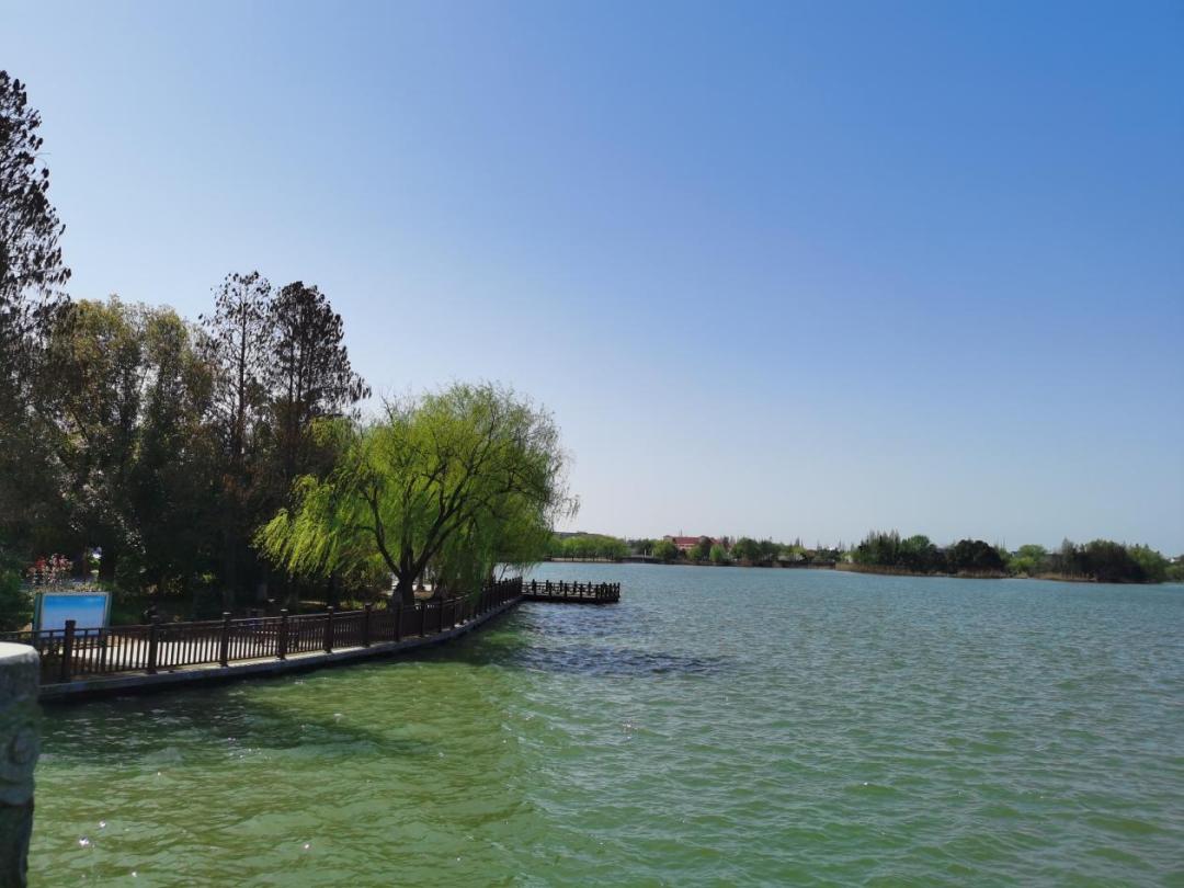 春日"沪"水游丨大淀湖,写意湖畔生活美学_澎湃号·政务_澎湃新闻-the