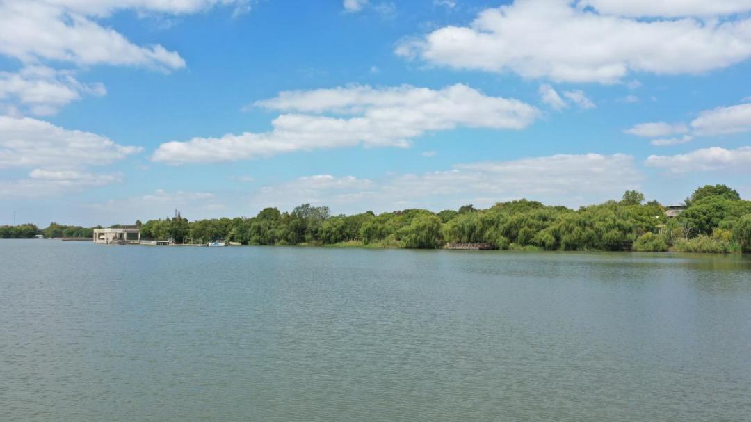 春日"沪"水游丨大淀湖,写意湖畔生活美学_澎湃号·政务_澎湃新闻-the