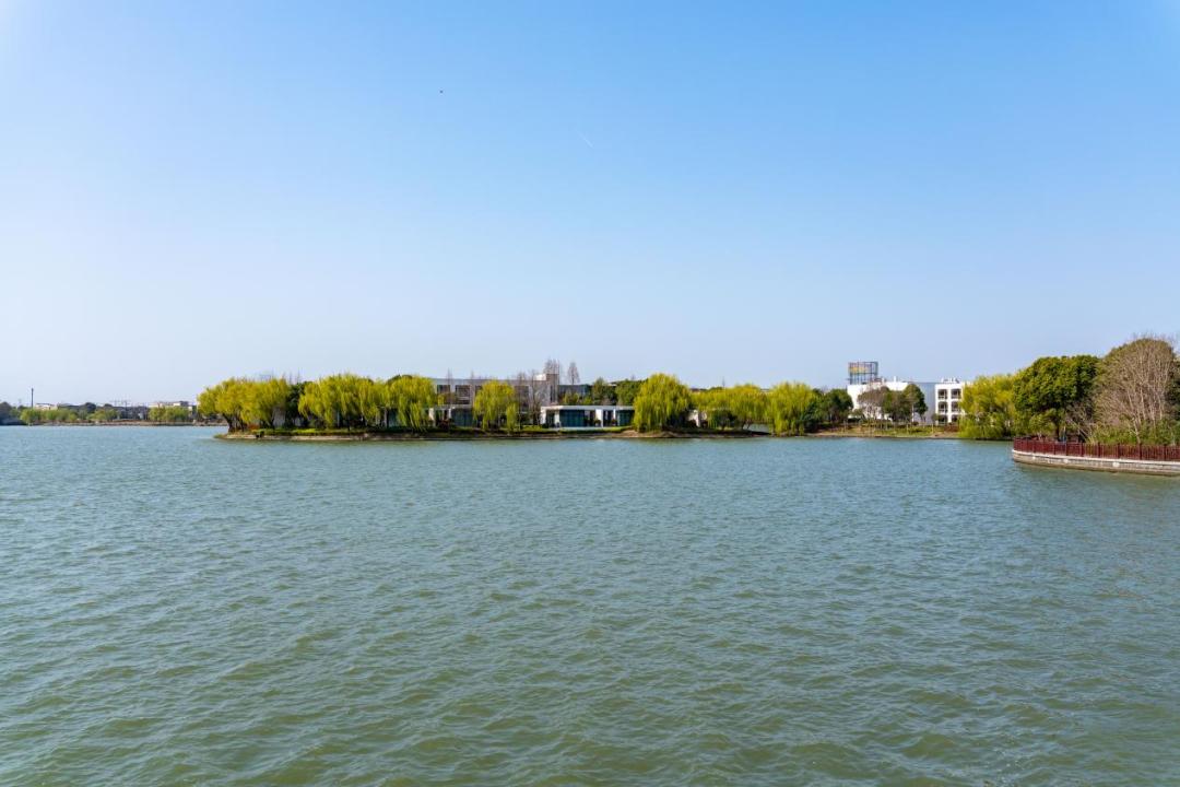 春日"沪"水游丨大淀湖,写意湖畔生活美学_澎湃号·政务_澎湃新闻-the