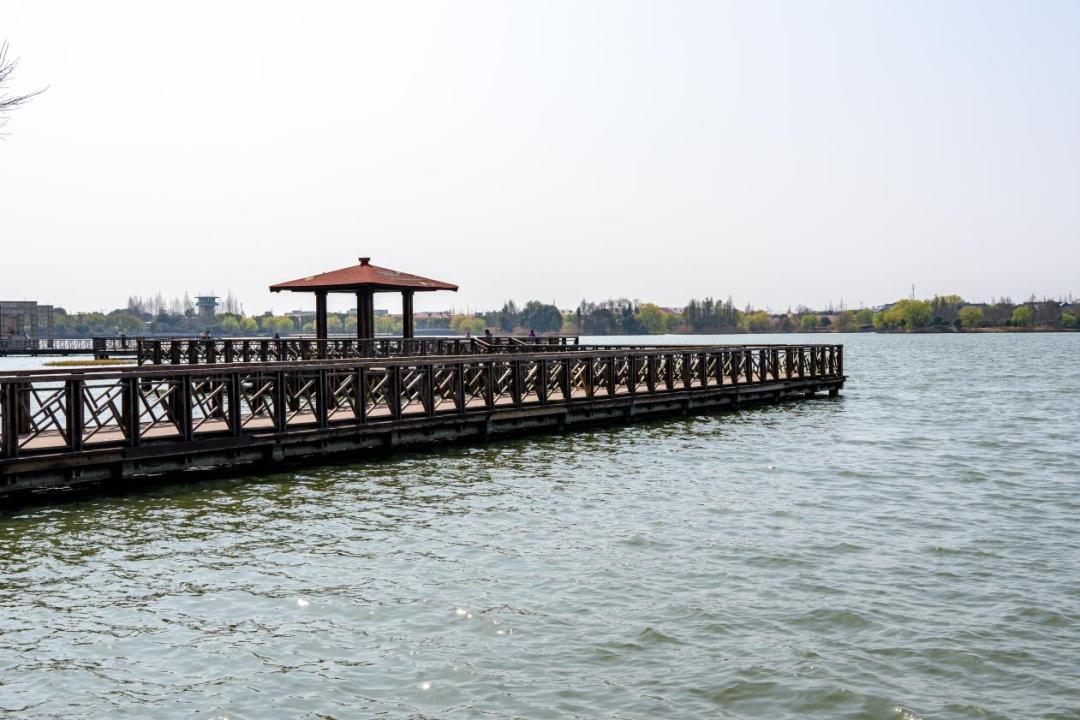 春日"沪"水游丨大淀湖,写意湖畔生活美学_澎湃号·政务_澎湃新闻-the