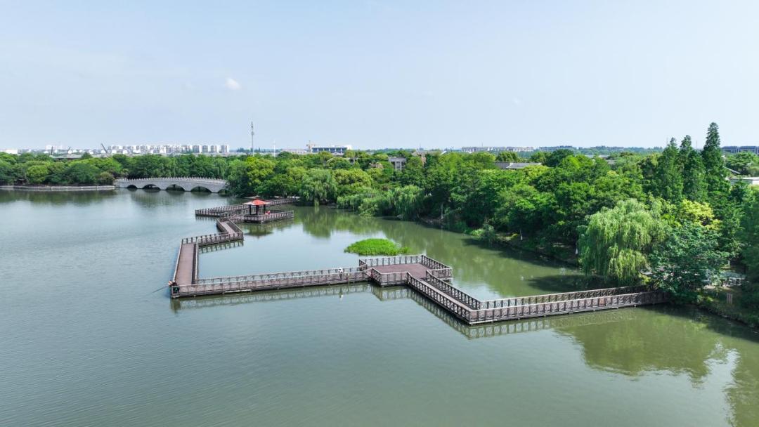 春日"沪"水游丨大淀湖,写意湖畔生活美学_澎湃号·政务_澎湃新闻-the