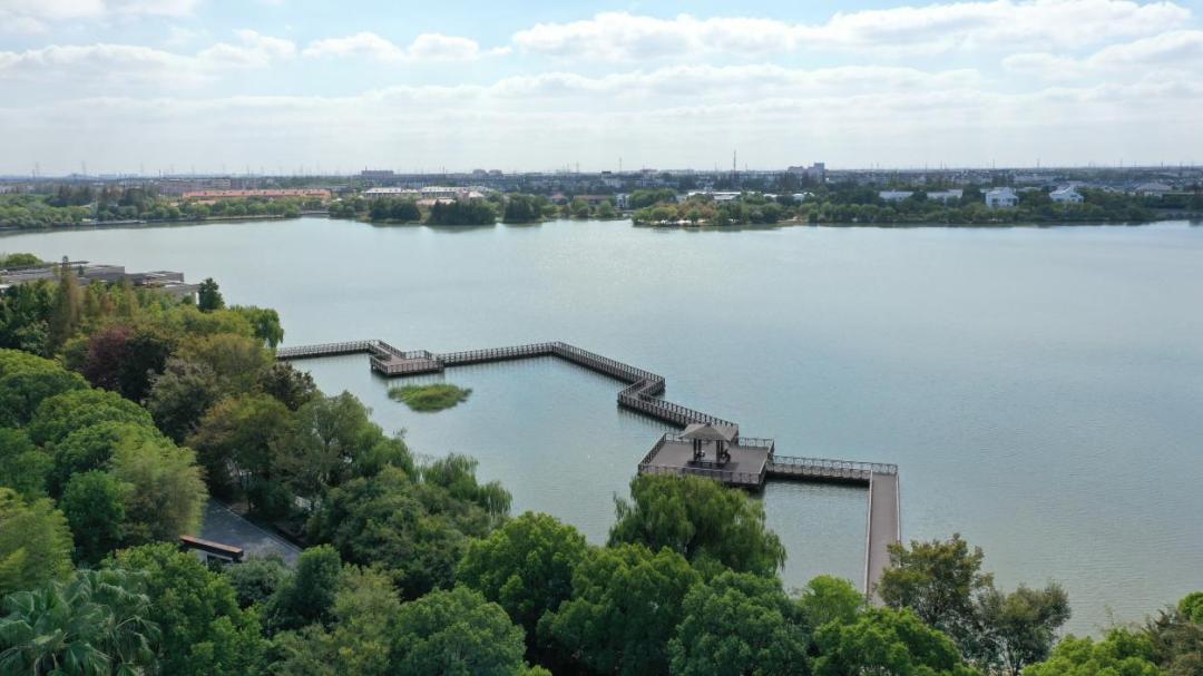 春日"沪"水游丨大淀湖,写意湖畔生活美学_澎湃号·政务_澎湃新闻-the