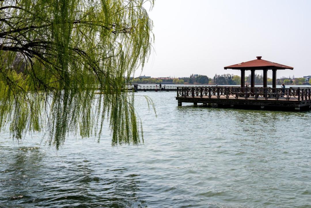 春日"沪"水游丨大淀湖,写意湖畔生活美学_澎湃号·政务_澎湃新闻-the