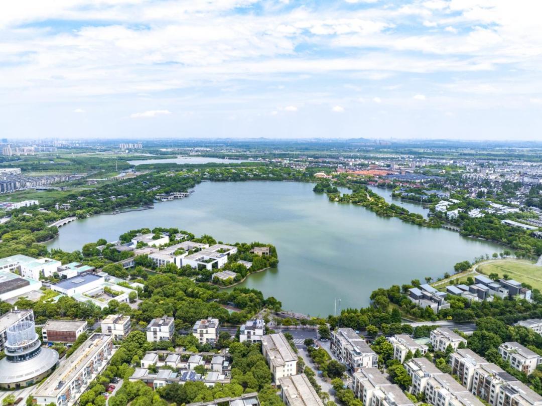春日"沪"水游丨大淀湖,写意湖畔生活美学_澎湃号·政务_澎湃新闻-the