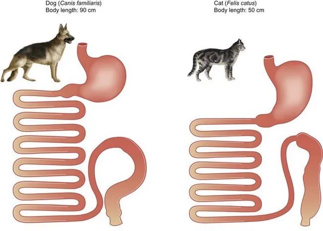 澎湃号·政务_澎湃新闻-the paper