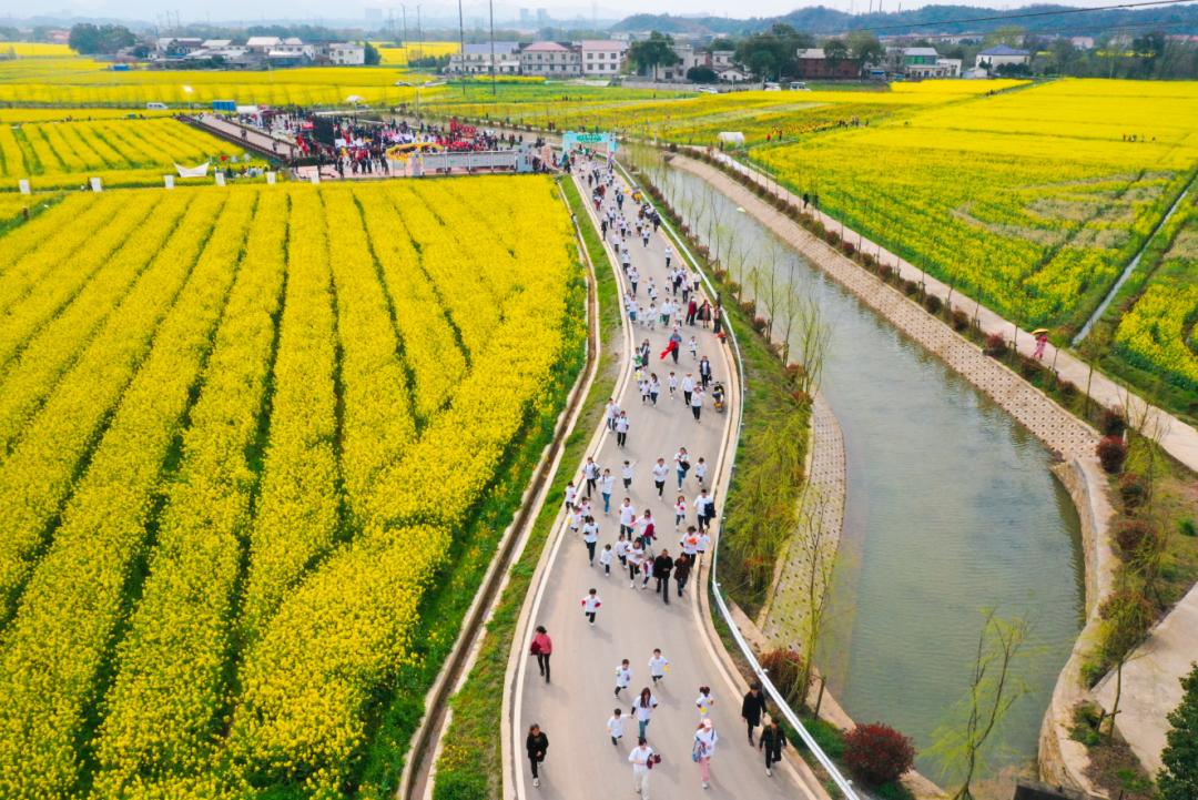 浏阳永安镇:抢抓农时种"春苗" "沉睡地"变"希望田"