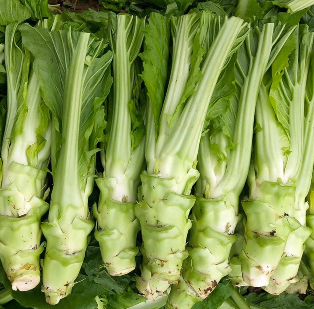 莴笋:真不知道上辈子欠了四川人什么_澎湃号·湃客_澎湃新闻-the