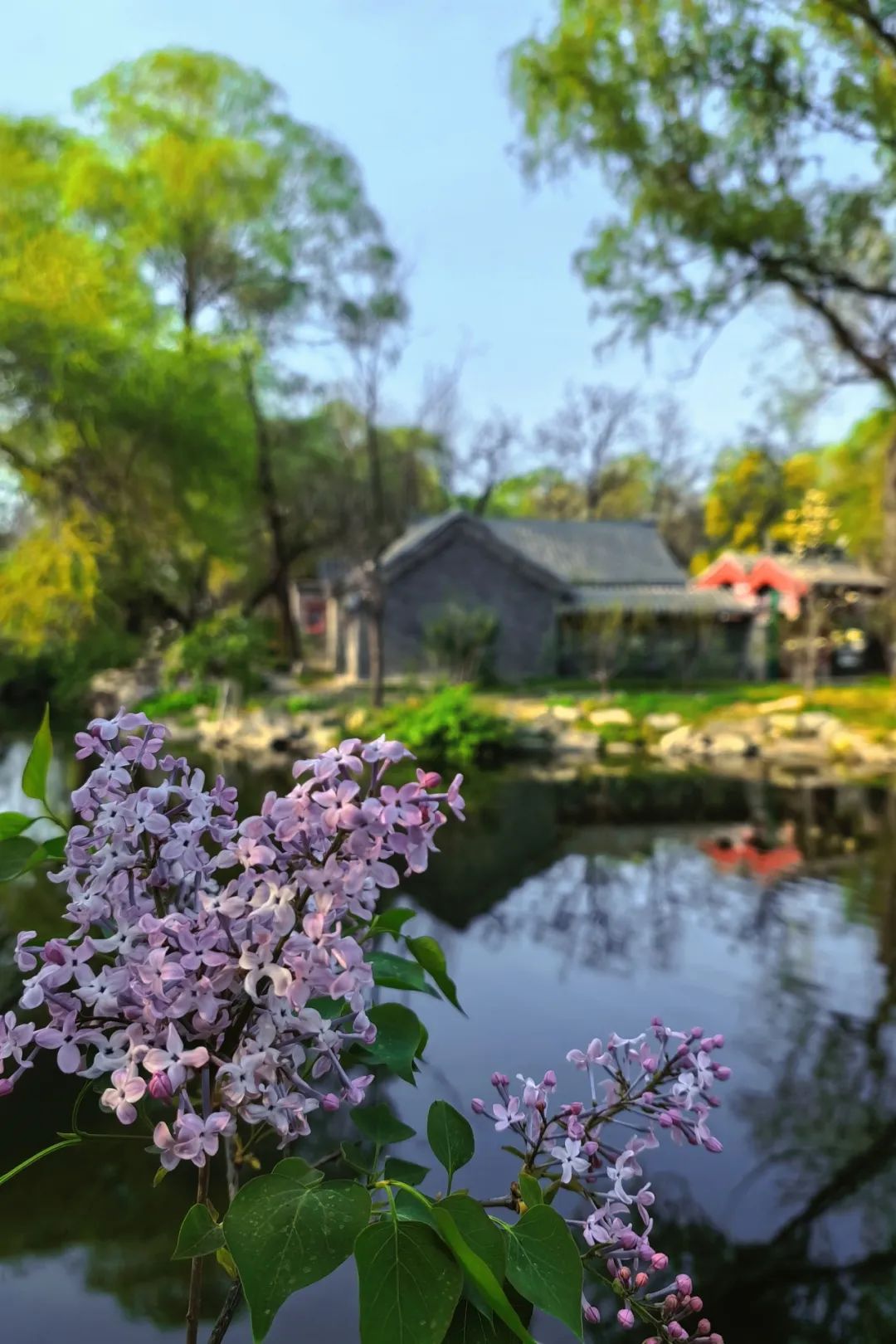 白雁飞仍重,黄鹂叶下鸣待风回云断雨初晴春雨如酥,万物熙熙春水荡漾