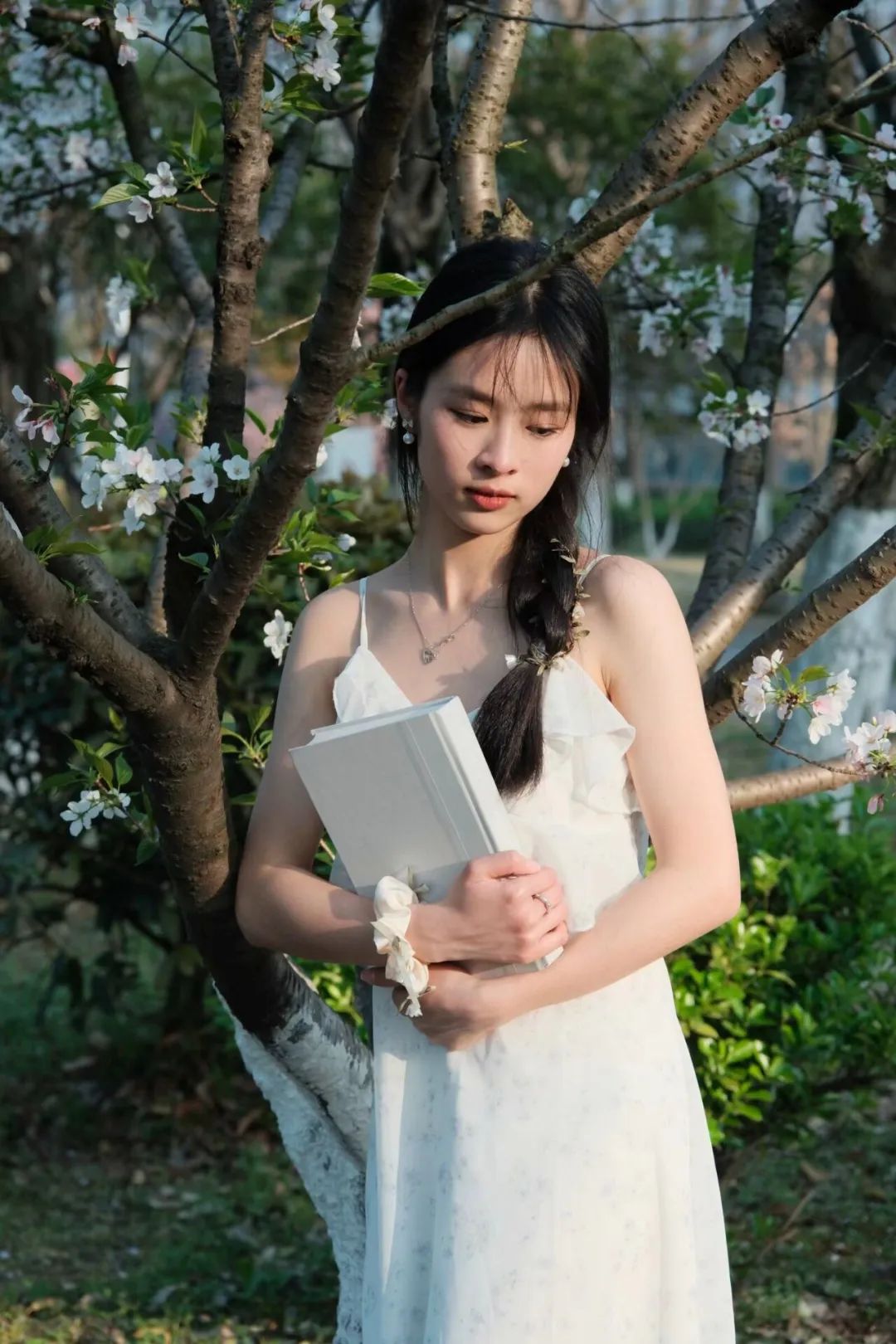 澎湃号·政务_澎湃新闻-the paper