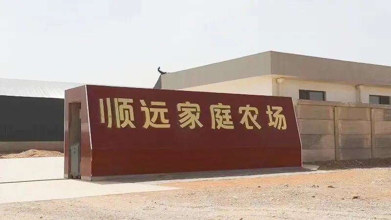 【金昌】这个农场让农户有了更多选择_澎湃号·政务