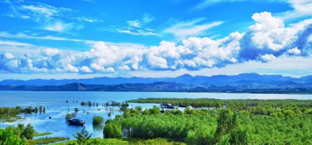 淅川全市第一,全省第二_澎湃号·政务_澎湃新闻-the paper