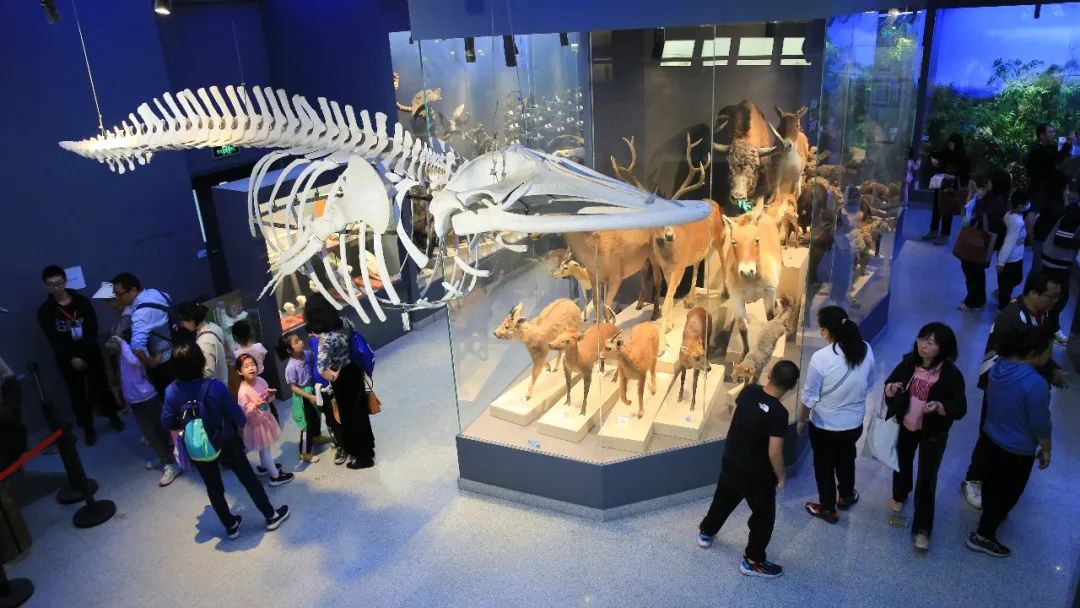 地质博物馆尽情饱览都可以在北大生物标本馆还是中国自然科学的发展