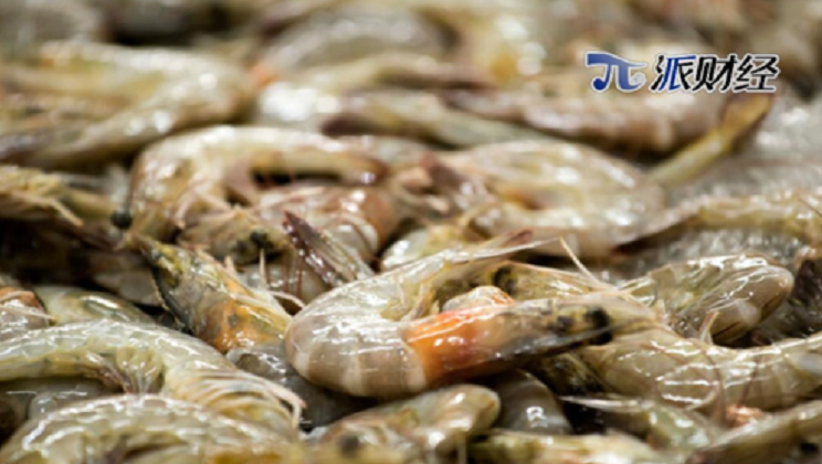 东方甄选称南美北虾产品历次检验结果均符合国标