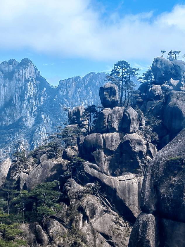 【美丽中国】圆梦黄山‖柳红樱