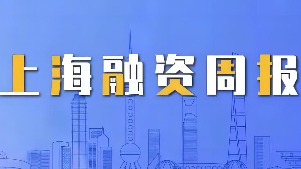 11家企业完成新一轮融资 | 上海融资周报（2024年第13期）