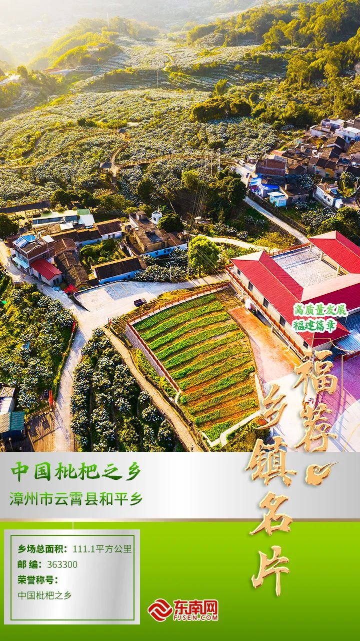 福荐乡镇名片丨中国枇杷之乡和平乡