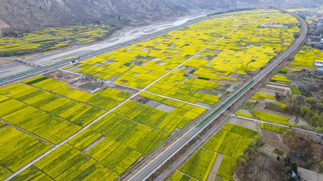 乘务员小姐姐@你:不负春光,"油"你"菜"美!